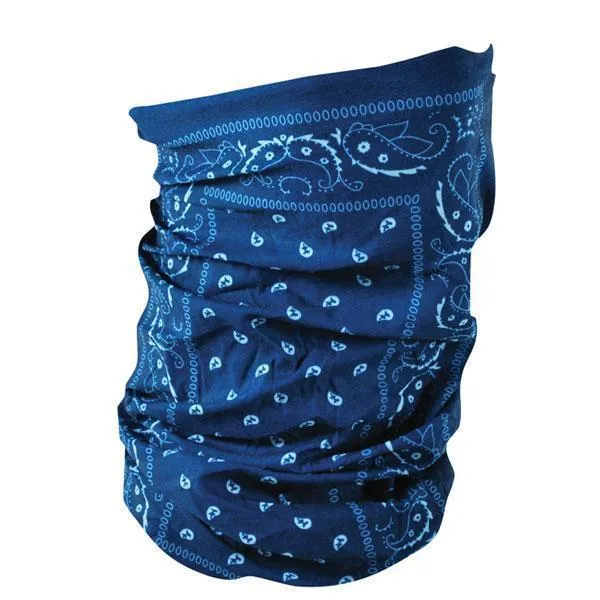 Blue Paisley Motley Tube
