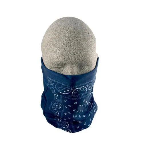 Blue Paisley Motley Tube