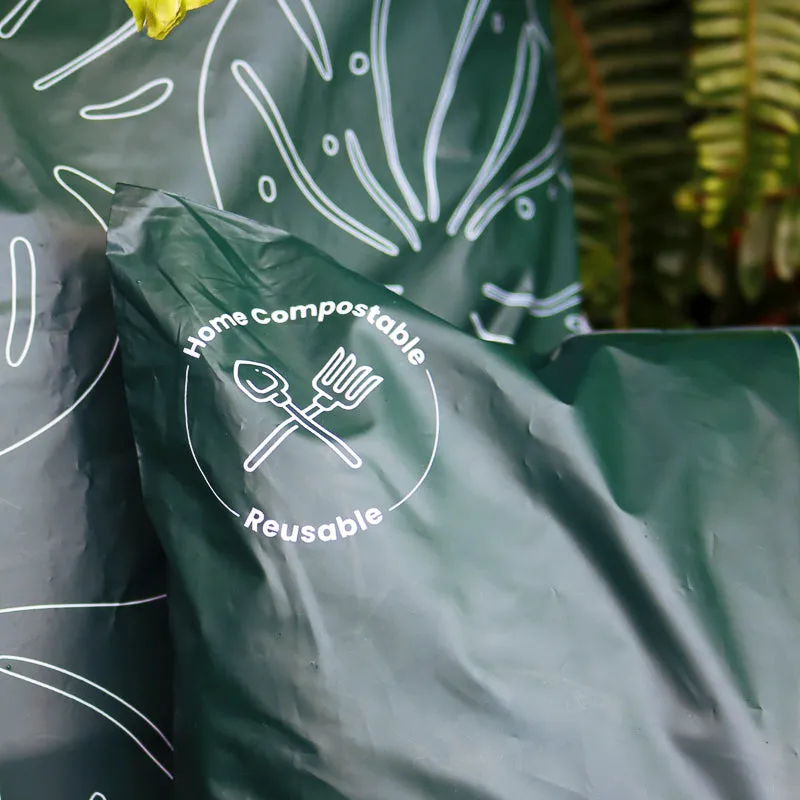 Ecopack DLE Compostable Courier Bags (1 Pack/100 Bags)