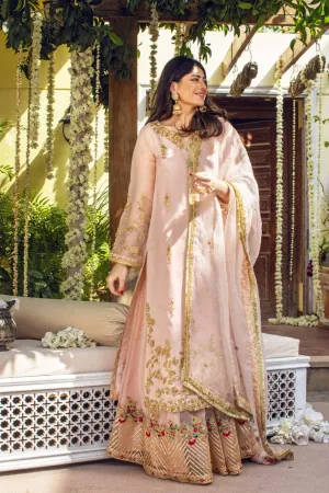 Gul Nilofer