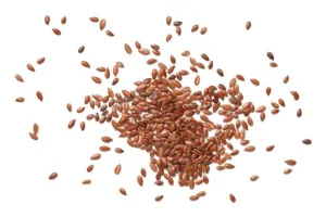 Organic to the Root Brown Linseed