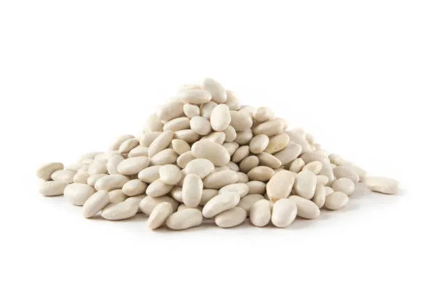 Organic to the Root Cannellini Beans - 500g