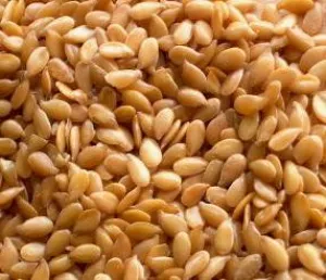 Organic to the Root Golden Linseed