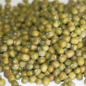 Organic to the Root Mung Beans - 500g