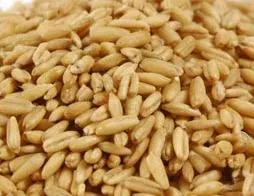 Organic to the Root Oat Groats - 500g