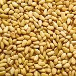 Organic to the Root Pine Kernels