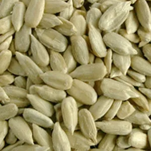 Organic to the Root Sunflower Seeds