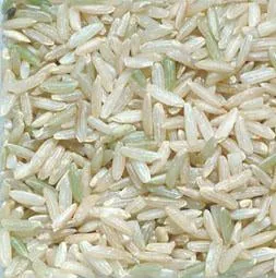 Organic to the Root White Basmati Rice