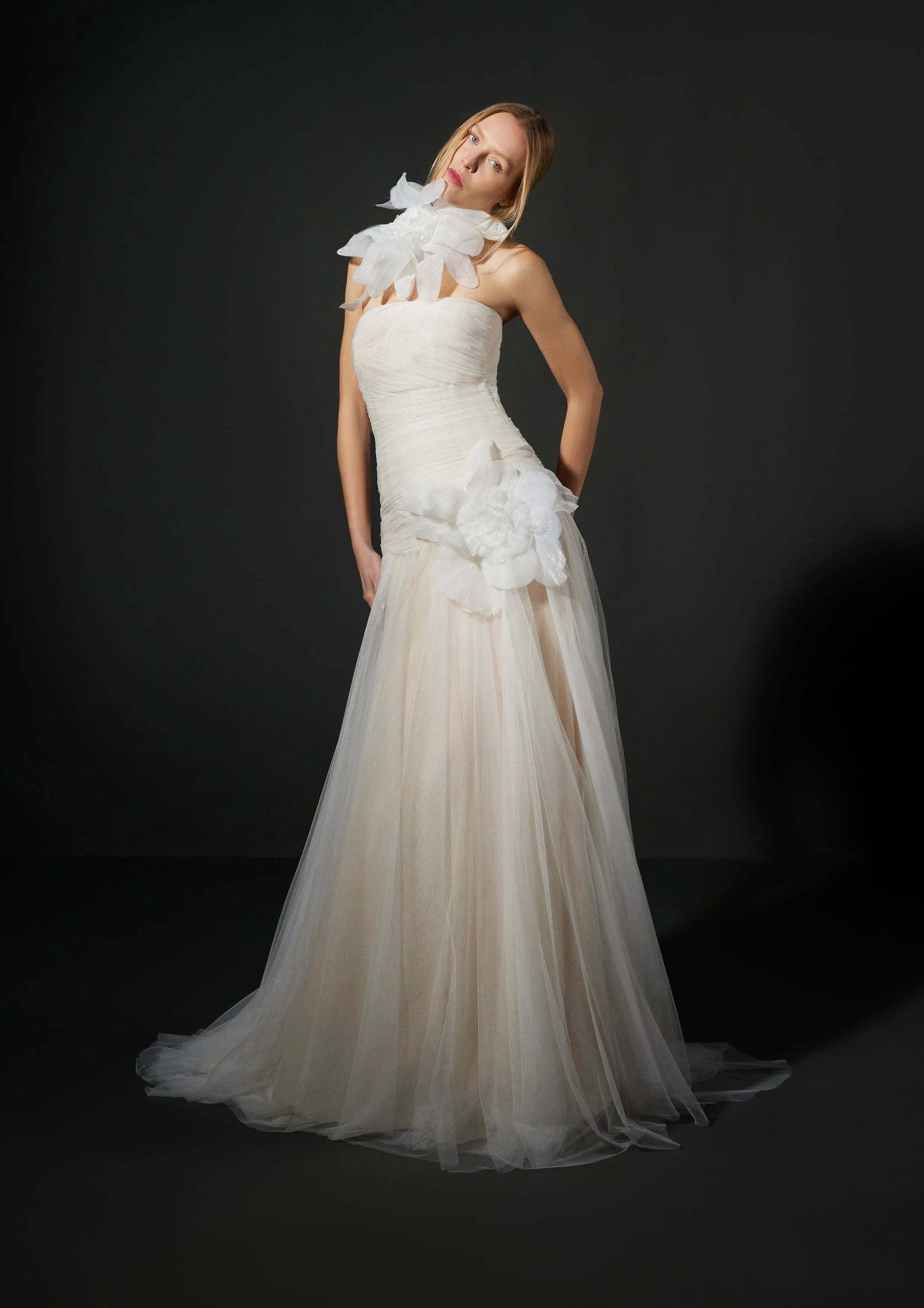 Vera Wang: Aloue